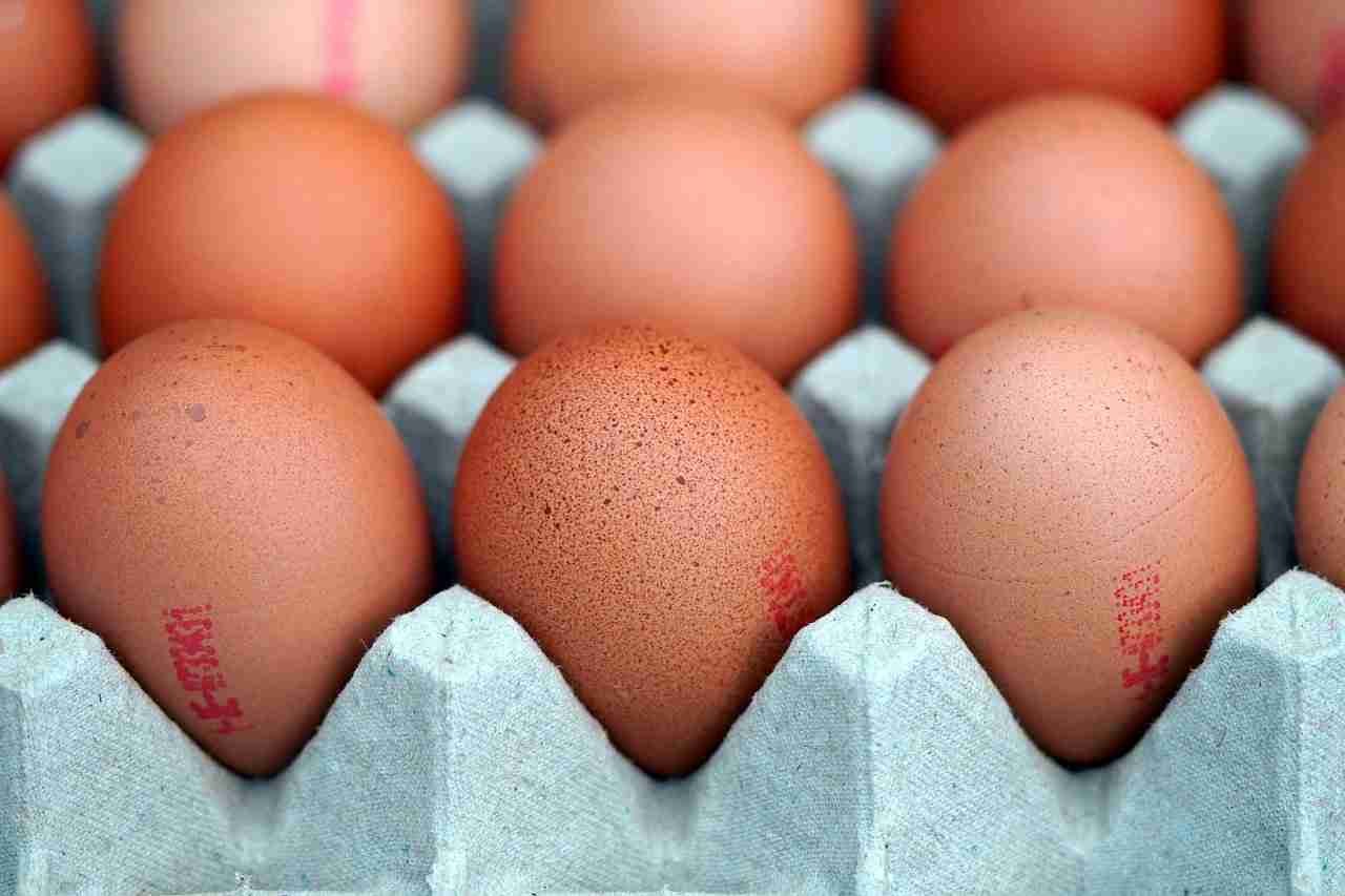 Store Fresh Eggs